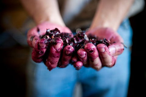 Cape Mentelle Behind The Scenes Tour With Food & Wine Pairing - Darwin Holiday 7
