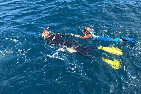 Deluxe WhaleShark Swim Tour On The Ningaloo Reef From Exmouth - Darwin Holiday 5