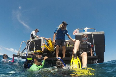 Deluxe WhaleShark Swim Tour On The Ningaloo Reef From Exmouth - Darwin Holiday 6