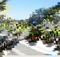 Kings Park Segway Tour - Darwin Holiday