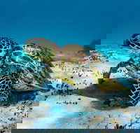 Turtle and Reef Adventure - Darwin Holiday