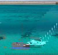 Whale Shark Swim by Catamaran in Shoulder Season - Darwin Holiday