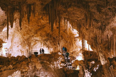 Mammoth Cave Self-guided Audio Tour - Darwin Holiday 0