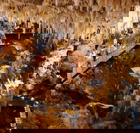 Jewel Cave Fully-guided Tour - Darwin Holiday