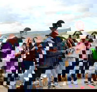 Margaret River Wine and Sights Discovery Tour from Busselton or Dunsborough - Darwin Holiday