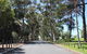 Claremont Heritage Tour From Perth - thumb 0