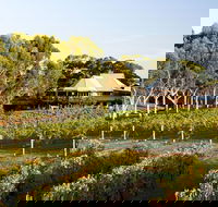Margaret River and Geographe Bay Region Day Trip from Perth - Darwin Holiday