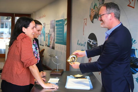 Live Pearl Harvest Experience - Perth - Darwin Holiday 2