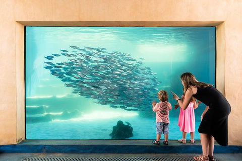 AQWA The Aquarium Of Western Australia: General Admission - Darwin Holiday 0