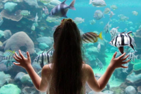 AQWA The Aquarium Of Western Australia: General Admission - Darwin Holiday 1