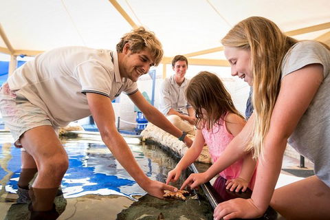 AQWA The Aquarium Of Western Australia: General Admission - Darwin Holiday 5
