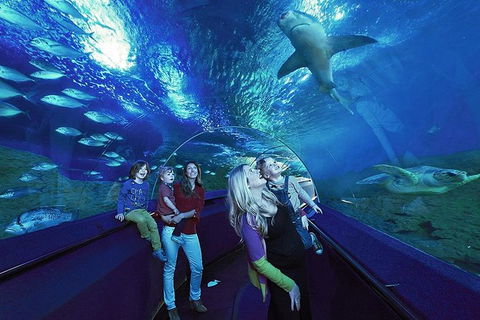 AQWA The Aquarium Of Western Australia: General Admission - Darwin Holiday 14