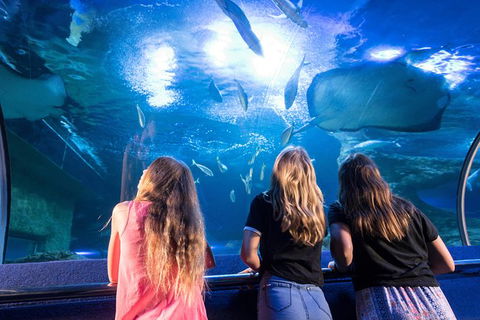 AQWA The Aquarium Of Western Australia: General Admission - Darwin Holiday 7