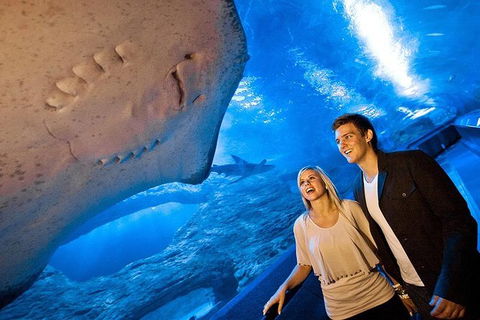 AQWA The Aquarium Of Western Australia: General Admission - Darwin Holiday 6