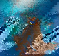 Rottnest Island Tandem Skydive - Darwin Holiday