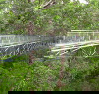 Albany Southwest Wilderness Day Tour - Fly From Perth - Darwin Holiday