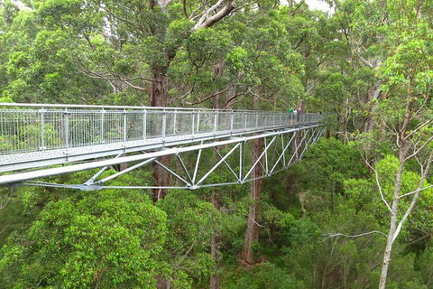 Albany Southwest Wilderness Day Tour - Fly From Perth - Darwin Holiday 0
