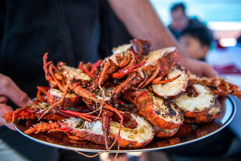 Mandurah Wild Seafood Adventure Cruise - Darwin Holiday 1
