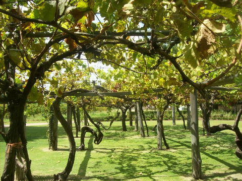 Swan Valley Gourmet Wine Cruise From Perth - Darwin Holiday 8
