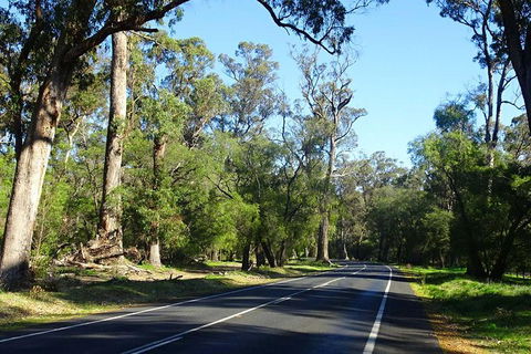 Margaret River (Private) Day Tour - Darwin Holiday 1