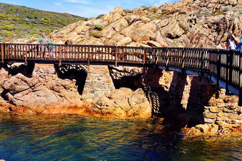 Margaret River (Private) Day Tour - Darwin Holiday 15