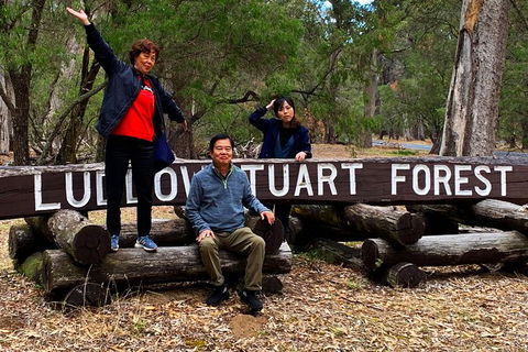 Margaret River (Private) Day Tour - Darwin Holiday 21