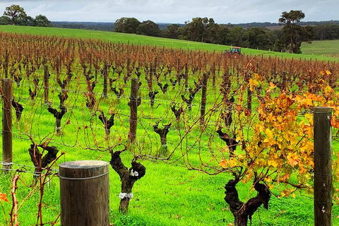 Margaret River (Private) Day Tour - Darwin Holiday 8