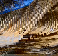 The Big Wave Rock Private Day Tour - Darwin Holiday