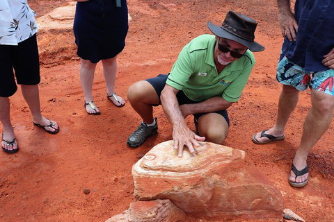 Broome Panoramic Town Tour - All The Extraordinary Sights And History Of Broome - Darwin Holiday 10