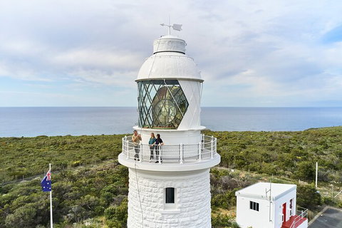 Cape Naturaliste Lighthouse Fully-guided Tour - Darwin Holiday 5