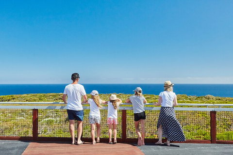 Cape Naturaliste Lighthouse Fully-guided Tour - Darwin Holiday 3