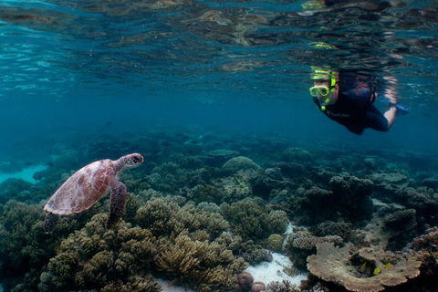 3 Night Ningaloo Reef Snorkel And Dive Getaway From Coral Bay - Darwin Holiday 0
