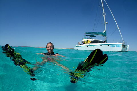 3 Night Ningaloo Reef Snorkel And Dive Getaway From Coral Bay - Darwin Holiday 1