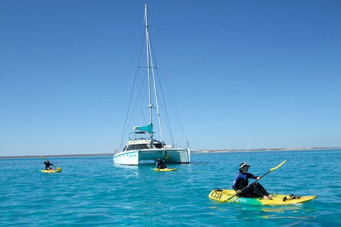 3 Night Ningaloo Reef Snorkel And Dive Getaway From Coral Bay - Darwin Holiday 7