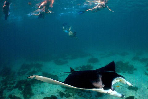 3 Night Ningaloo Reef Snorkel And Dive Getaway From Coral Bay - Darwin Holiday 6
