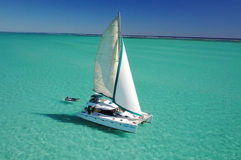 3 Night Ningaloo Reef Snorkel And Dive Getaway From Coral Bay - Darwin Holiday 4