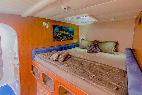 3 Night Ningaloo Reef Snorkel And Dive Getaway From Coral Bay - Darwin Holiday 8