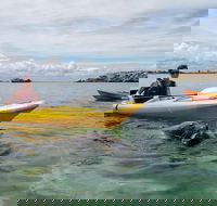 Seal Island and Penguin Island or Point Peron Sea Kayak Tour - Darwin Holiday