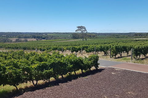 Full Day Winery And Brewery Tour In A Classic Silver Spirit Rolls Royce - Darwin Holiday 5
