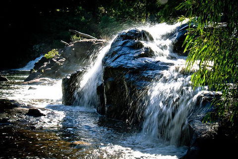 Margaret River Wine Adventure - The Tour For People Who Don\'t Do Tours! - Darwin Holiday 17