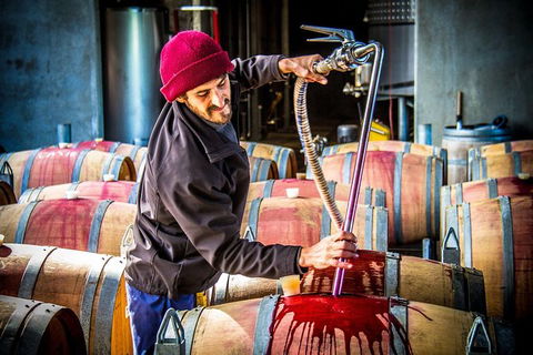 Margaret River Wine Adventure - The Tour For People Who Don\'t Do Tours! - Darwin Holiday 20