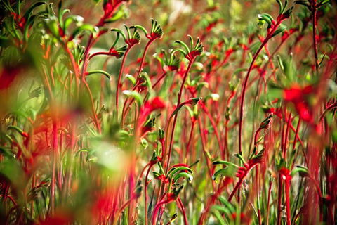 Margaret River Wine Adventure - The Tour For People Who Don\'t Do Tours! - Darwin Holiday 28