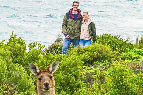 Margaret River Wine Adventure - The Tour For People Who Don\'t Do Tours! - Darwin Holiday 3