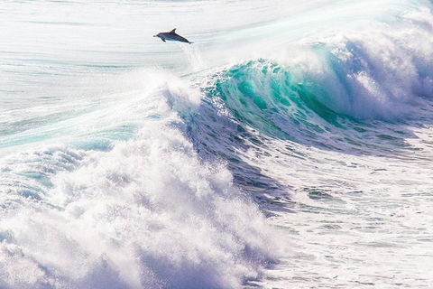 Margaret River Wine Adventure - The Tour For People Who Don\'t Do Tours! - Darwin Holiday 29