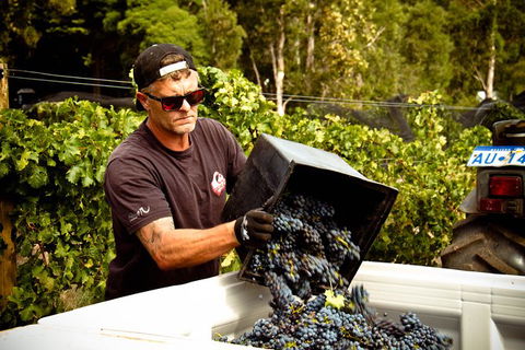 Margaret River Wine Adventure - The Tour For People Who Don\'t Do Tours! - Darwin Holiday 26