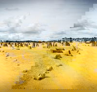 1 Day Pinnacles Wildlife  Sandboarding - Darwin Holiday