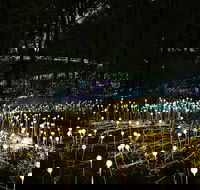 National Anzac Centre Field of Light Panorama Pass - Darwin Holiday