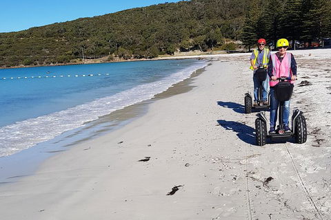 Albany Summit To Sea Adventure - Guided Segway Tour - Darwin Holiday 1