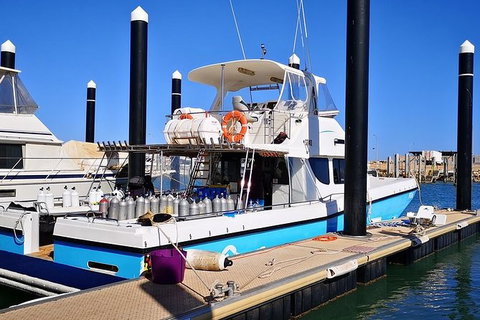 Muiron Island Dive & Snorkel Tour - Darwin Holiday 7