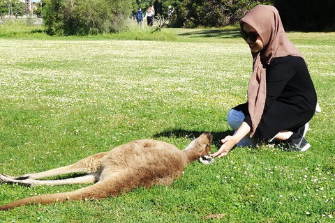 Reflections On The Swan (Private) Day Tour - Darwin Holiday 1